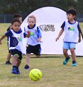 HSFC MiniRoos