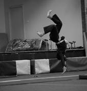 Ninjutsu & karate students training