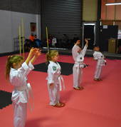 DD Taekwondo and Hapkido Stawell Martial Arts Academies 5_small