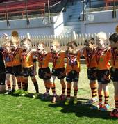 Lane Cove Tigers Junior Rugby League Club Lane Cove Rugby League Clubs 2_small