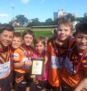 Lane Cove Tigers Junior Rugby League Club Lane Cove Rugby League Clubs 3_small