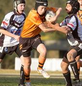 Lane Cove Tigers Junior Rugby League Club Lane Cove Rugby League Clubs 5_small
