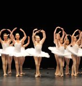 Dance troupes and solos