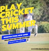 Play cricket this summer