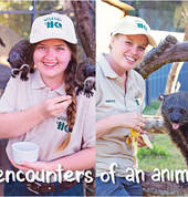 Close encounters of an animal kind at Wildlife HQ