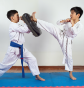 Family Taekwondo - New Lambton and Eleebana New Lambton Taekwondo Classes & Lessons 5_small
