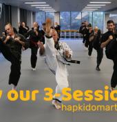 HAPKIDO MARTIAL ARTS - Northern Beaches Hap Ki Do Brookvale Hapkido Schools 2_small
