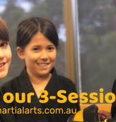 HAPKIDO MARTIAL ARTS - Northern Beaches Hap Ki Do Brookvale Hapkido Schools 3_small