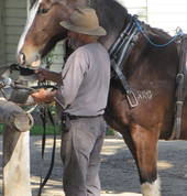 The Australiana Pioneer Village Wilberforce Entertainment School Holiday Activities 1_small