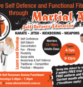 SDE Martial Arts Punchbowl Karate Clubs 1_small