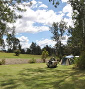 Large grassy sites