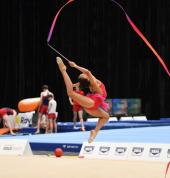 Le Ray Gymnastics Croydon