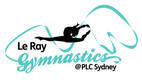 Le Ray Gymnastics Holiday Camps for Kids Croydon Gymnastics Classes & Lessons