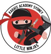 Little Ninja Programs
