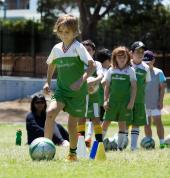 Grasshopper Soccer Perth North Joondalup Soccer Coaches & Instructors 4_small