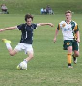 Belmont City Football Club Belmont Soccer Clubs 1_small