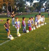 Belmont City Football Club Belmont Soccer Clubs 3_small