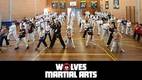 Free uniform Springwood Martial Arts Academies