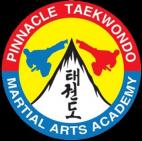 Experience the pinnacle Taekwondo Martial Arts style Chester Hill Karate Schools