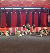 Our Senior Performance team performing at the 2021 Sydney Royal Easter Show.