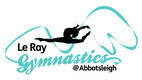 Free Trial Lesson & $100 Cash Back Wahroonga Gymnastics Classes & Lessons