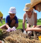 Farm Kids Activities