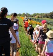 Farm Kids Workshops