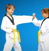 Pinnacle Taekwondo Martial Arts Academy in South Granville for kids teens and adults