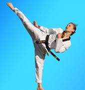 Martial Arts in South Granville for kids teens & adults of all ages & all levels