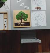 Børn Tutoring Port Melbourne Early Learning Teachers & Tutors 3_small