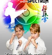 Karate Kid on The Spectrum