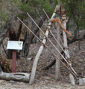 Australia Walkabout Wildlife Park Calga WildLife Parks 4_small