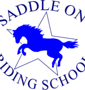 Saddle On Riding School