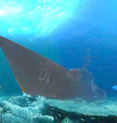 Dive the ex HMAS Adelaide
