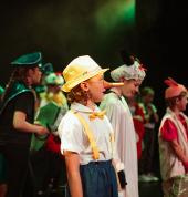 Performing Arts Musical Performances