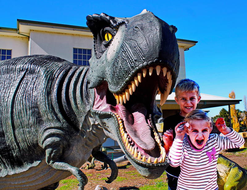 National Dinosaur Museum - Museums for Kids - ActiveActivities