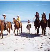 Beach rides