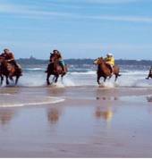 Beach riding