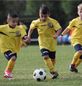 MiniRoos