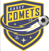 Casey Comets Logo
