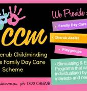 CCM's Services