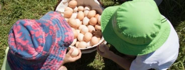 Farm Kids School Holiday program Byron Bay Play School Holiday Activities