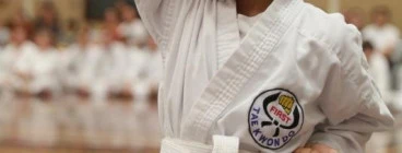 2x Free Trial Lessons Morley Taekwondo Classes &amp; Lessons