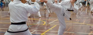 2x Free Trial Lessons Kiara Taekwondo Classes &amp; Lessons
