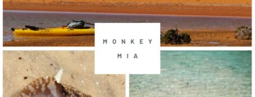 Monkey Mia 5-day Sea Kayak Tour Willetton Canoeing