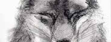 CHARCOAL ANIMALS SCHOOL HOLIDAYS Mornington Art Classes &amp; Lessons