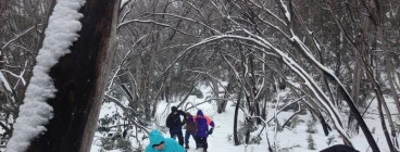 Adventure Guides Australia Beechworth 1