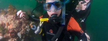 The Dive Victoria Group Queenscliff 1