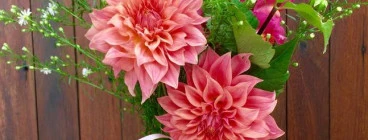 The Grateful Bouquet Newcastle 1