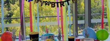 Birthday Party Bookings